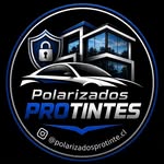 Polarizados ProTinte
